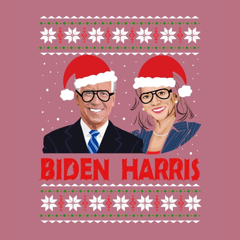 Biden Harris Norwegian pattern