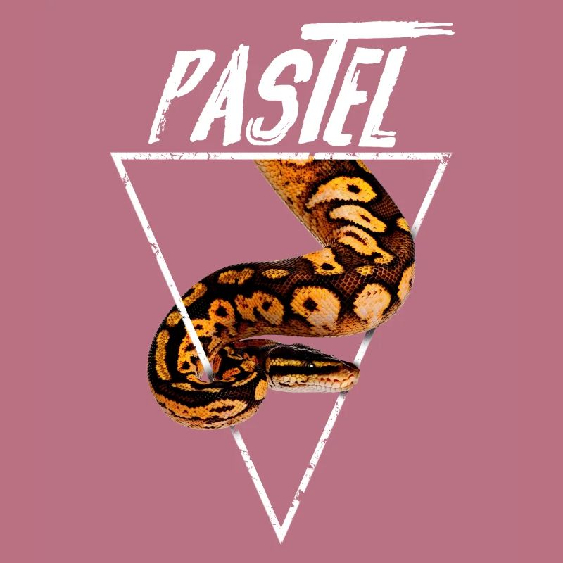 Pastel Ball Python Propriétaire