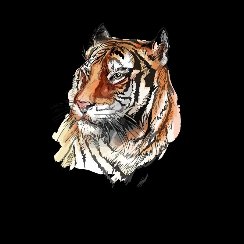 Tiger Face Big Tiger Head