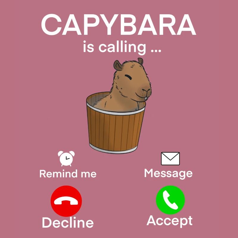 Mème Capybara