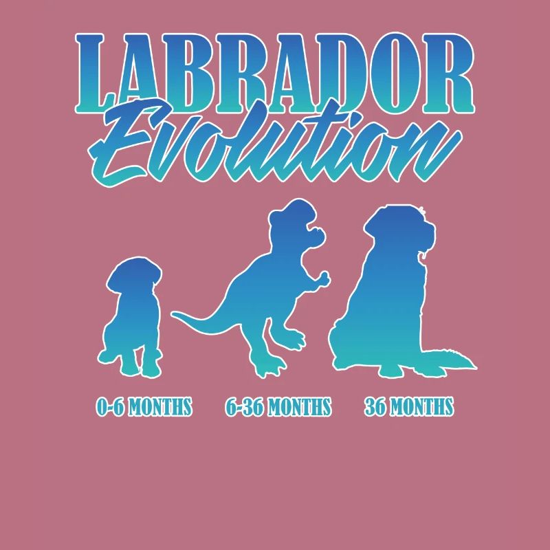 LABRADOR EVOLUTION Labrador Propriétaire Drôle