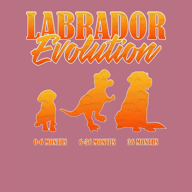 LABRADOR EVOLUTION Labrador Propriétaire Drôle