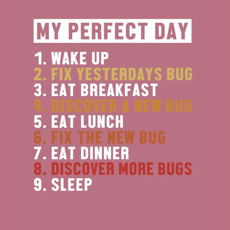 Correction de bugs Perfect Day Développeur Codeur Programmeur