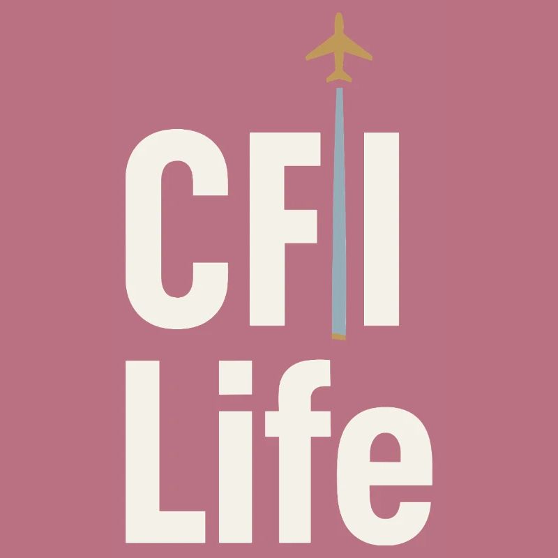 Flight Instructor Cfi Pilot Aviation Instructor