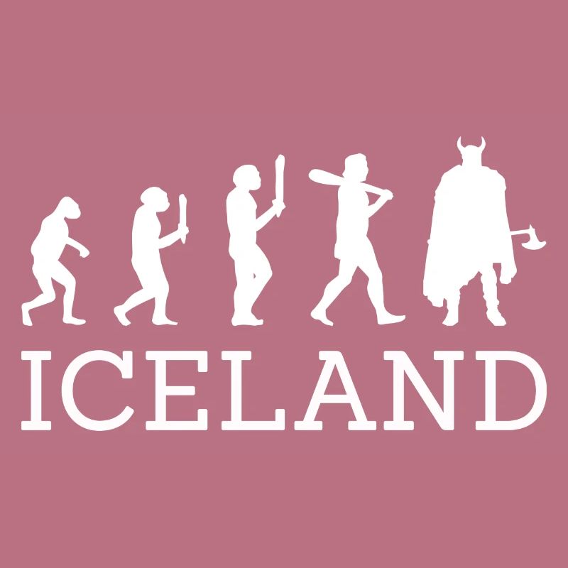 Island Evolution Wikinger Iceland
