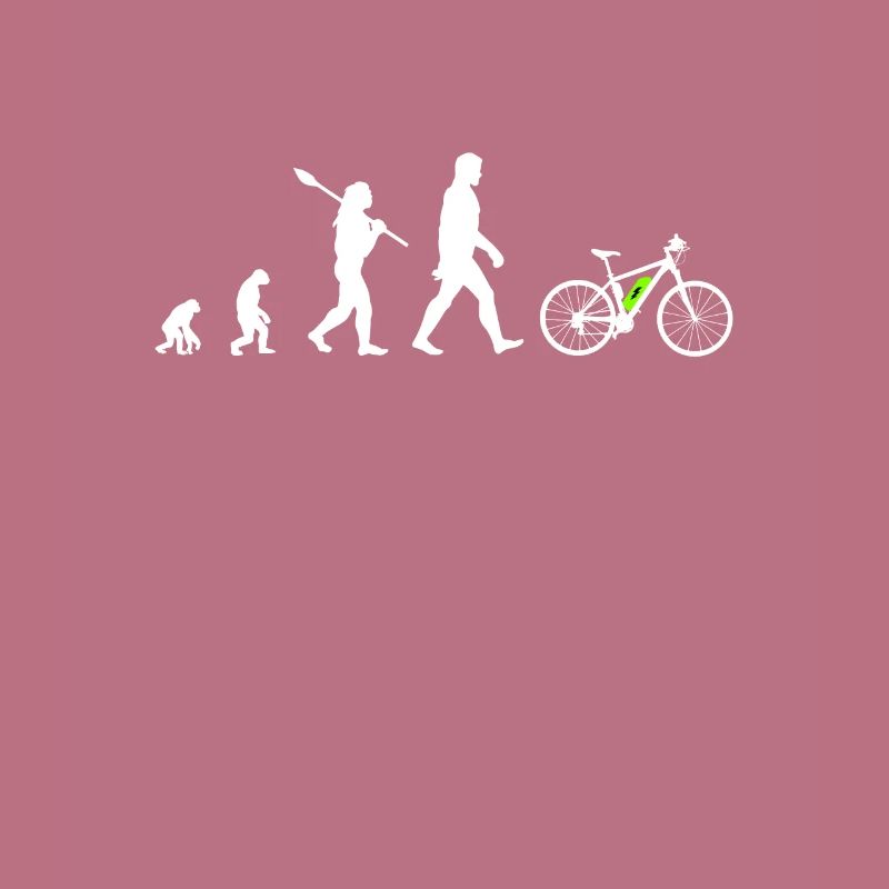 Vélo Électrique Ebike Bicycle Evolution