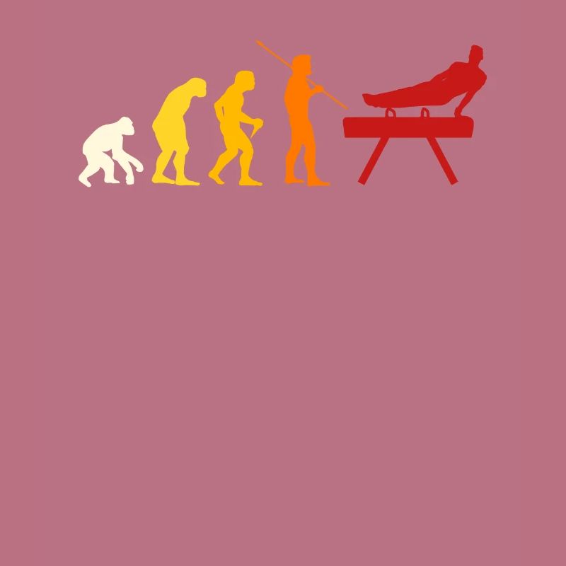 Pauschenpferd Turnen Evolution