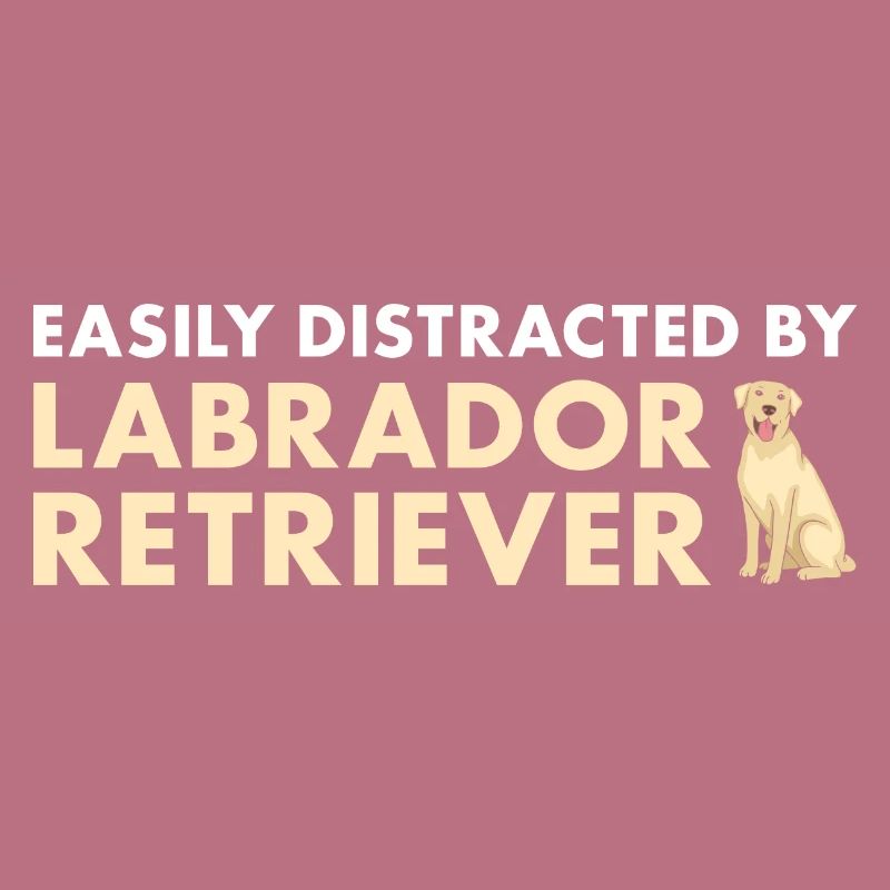 Easily Distracted By Labrador Retriever