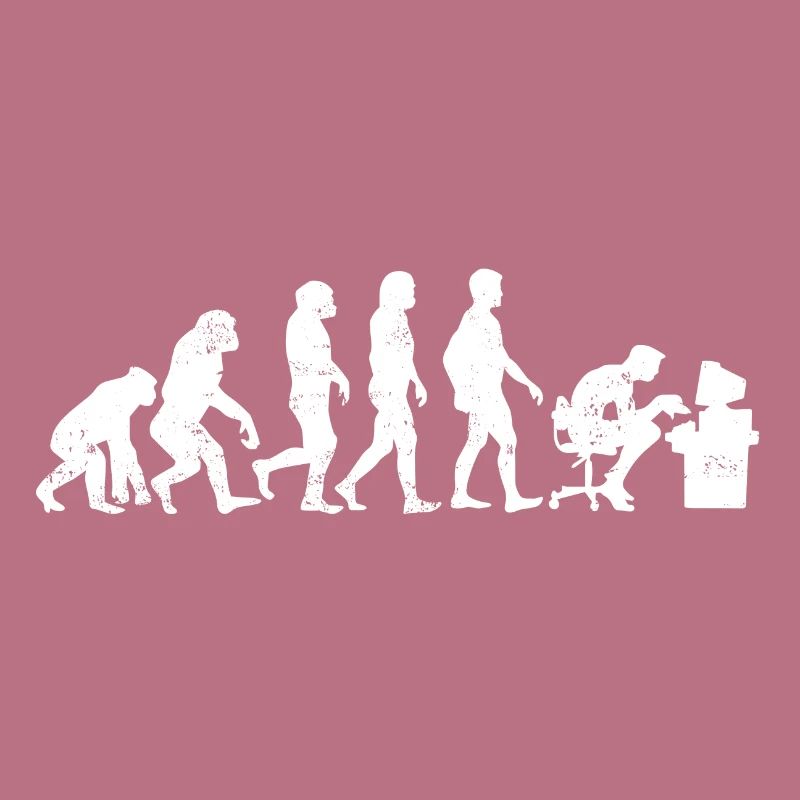 évolution des programmeurs codeur cadeau informatique