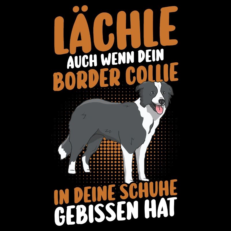 Hund Border Collie