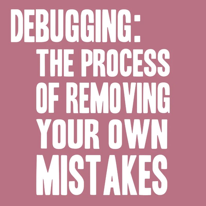 debugging process