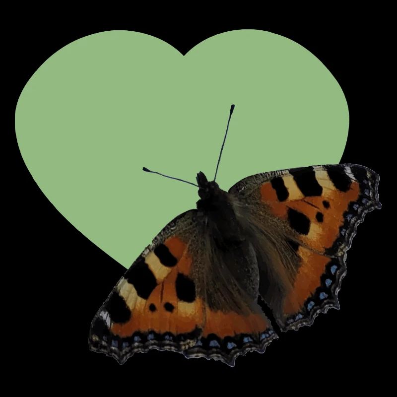 Schmetterling