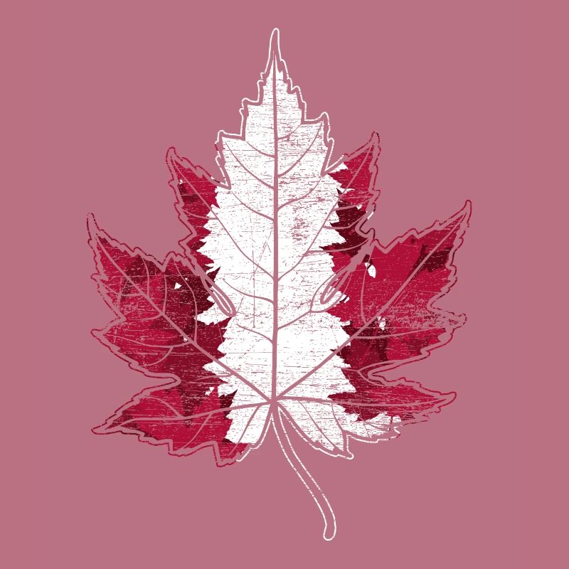 Canada gift maple leaf