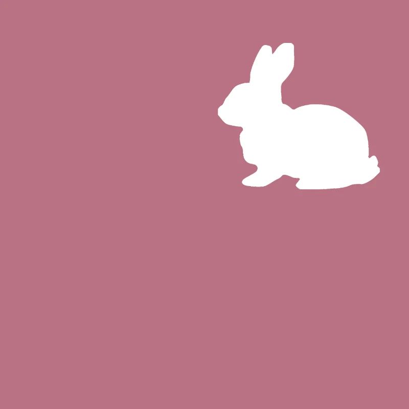 Rabbit Rabbit Easter Easter Holidays Egg Eggs