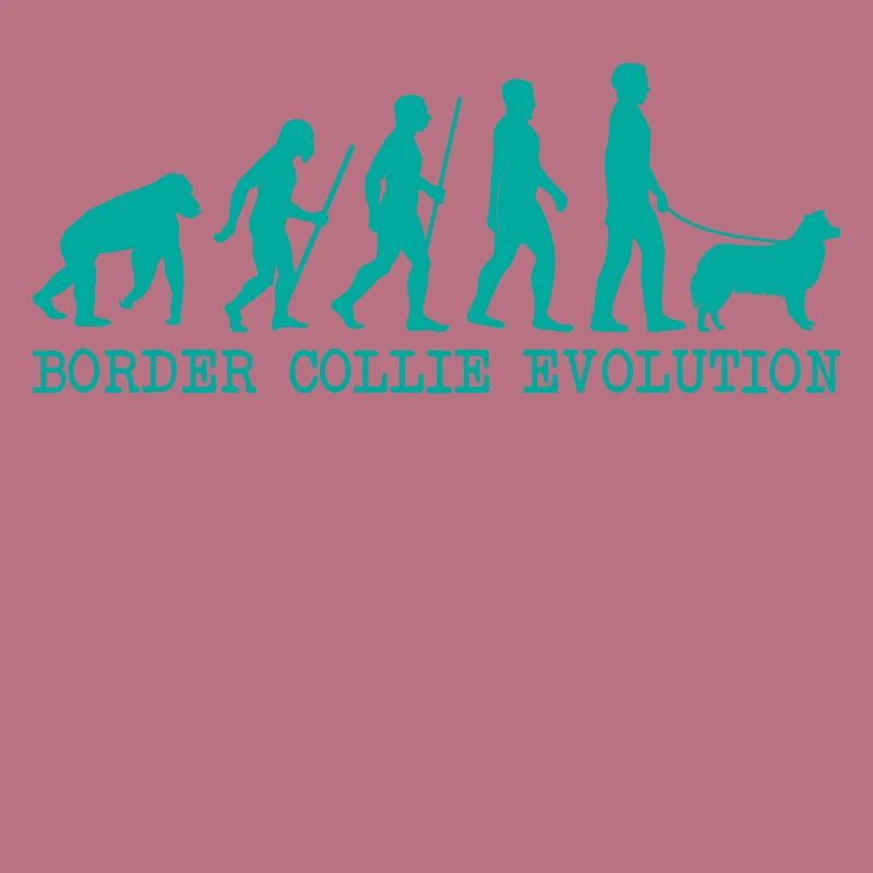 Border Collie Evolution
