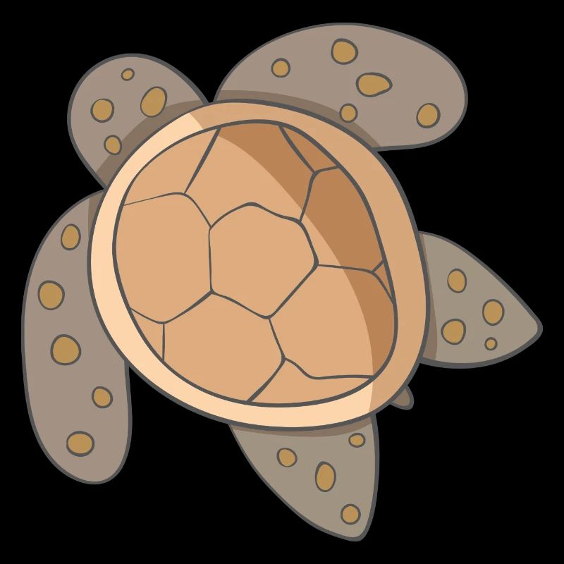 Sea turtle