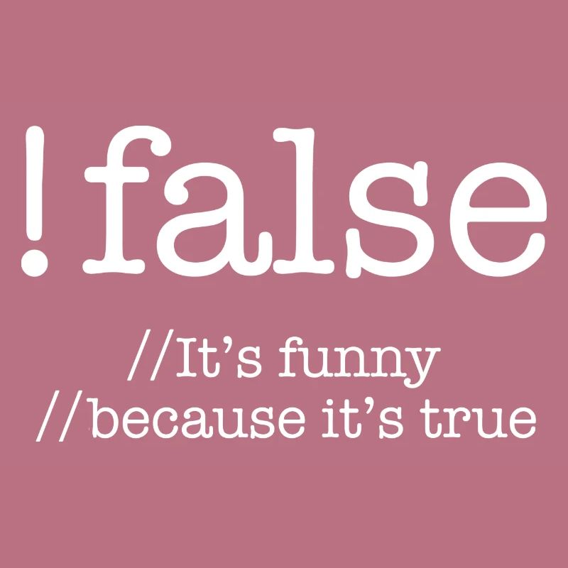 False Programming Coding Programmers Gift