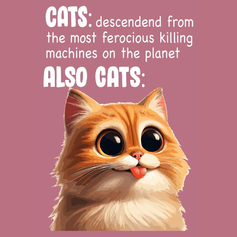 Chat mignon Meme