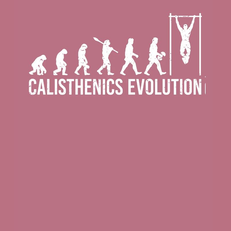 Calisthenics Evolution Pull up Klimzug workout