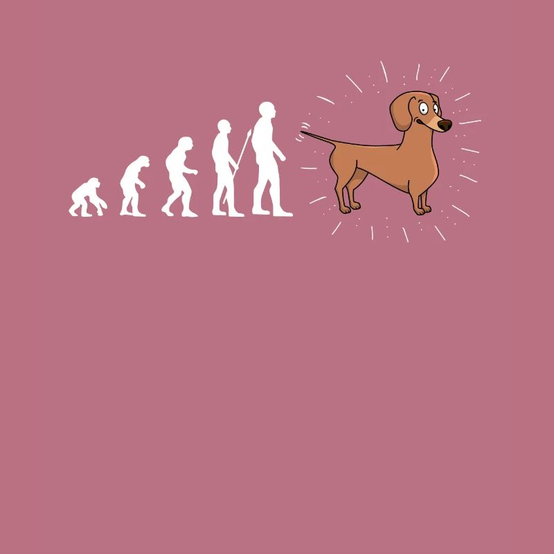 Evolution Dackel Hund Hunde Fun Spaß