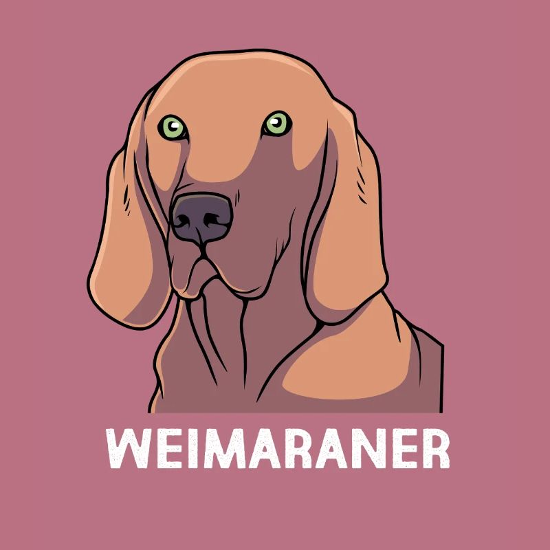 Weimaraner