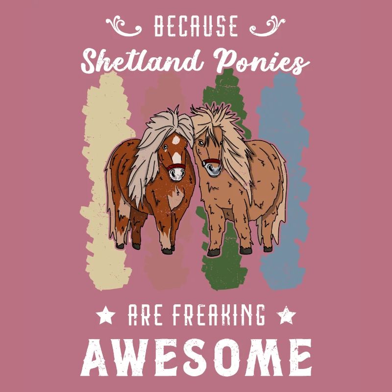 Pferde Pony Shetland Shetty Mädchen Reiterin