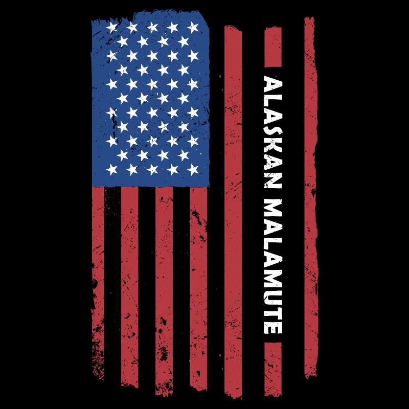 Malamute d’Alaska drapeau des États-Unis