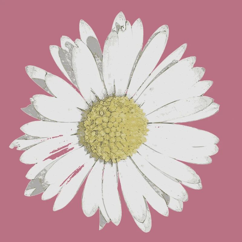 daisy