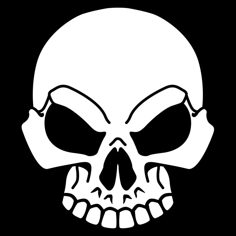 Pirate skull