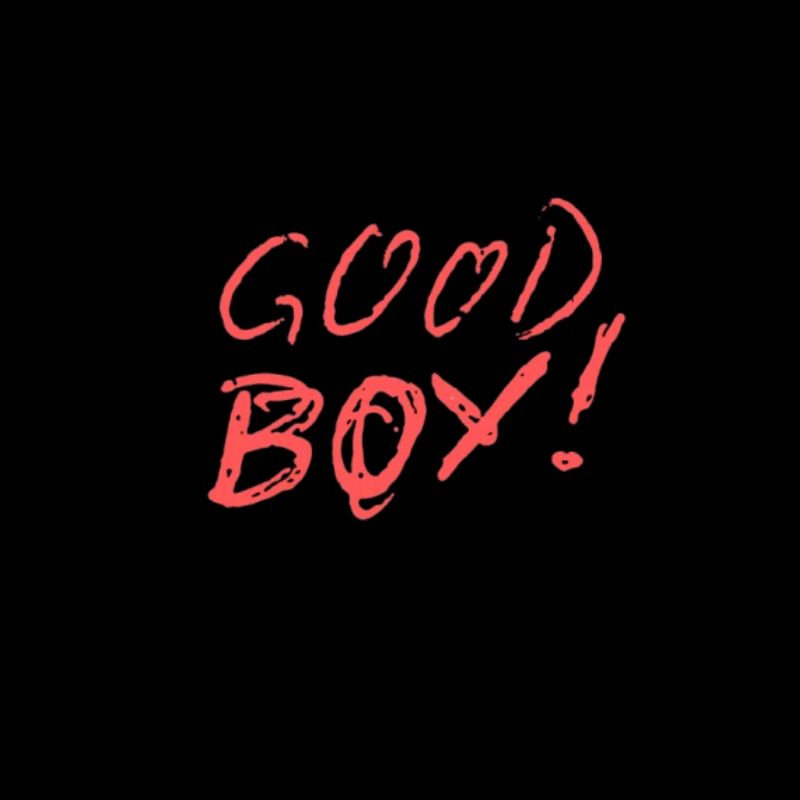Good Boy for a Good Boy