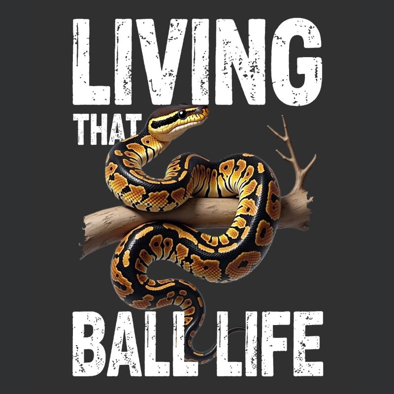 Königspython Schlangen Liebhaber Terrarium Python