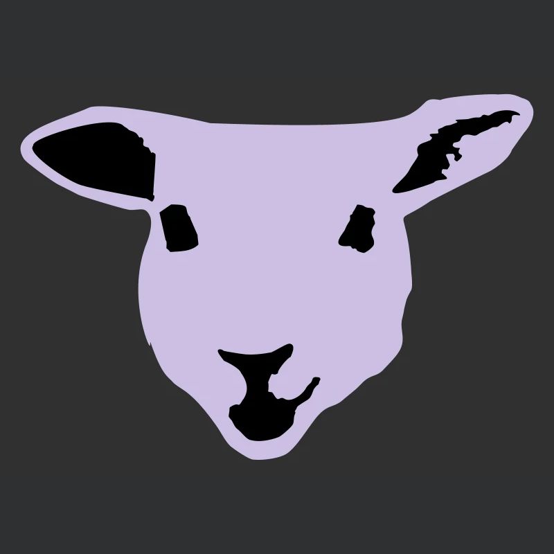 sheep, lamb