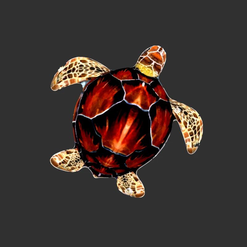 Pattern sea turtle illustration