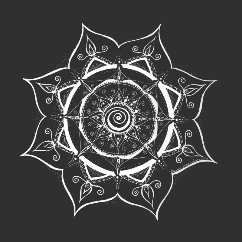Conception de toile d’araignée Mandala