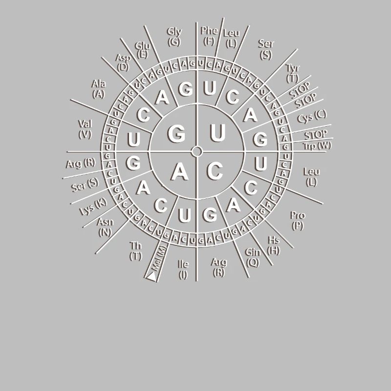 Chemistry Elements Science Code Sun Gift