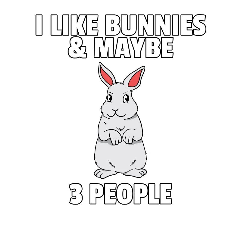 Rabbit Rabbit Dwarf Rabbit Sweet Rex Gift