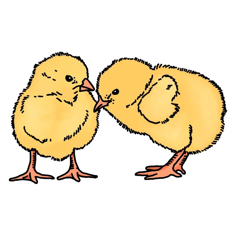 Two cute chicks