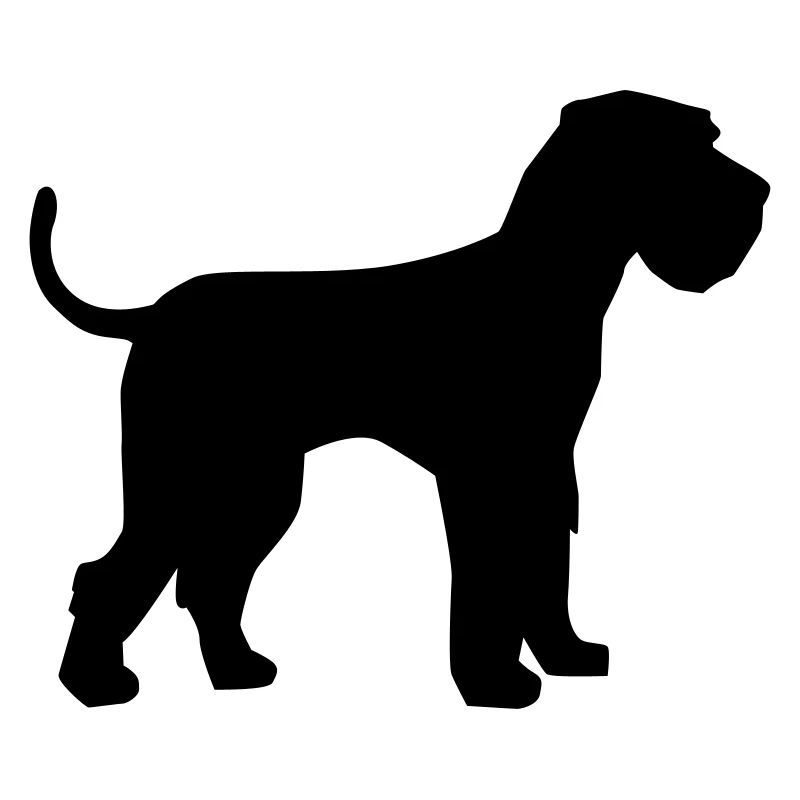 Schnauzer géant