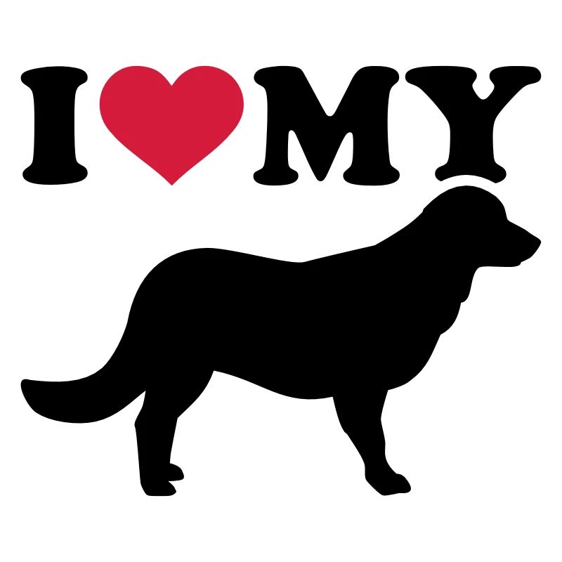 Flat Coated Retriever