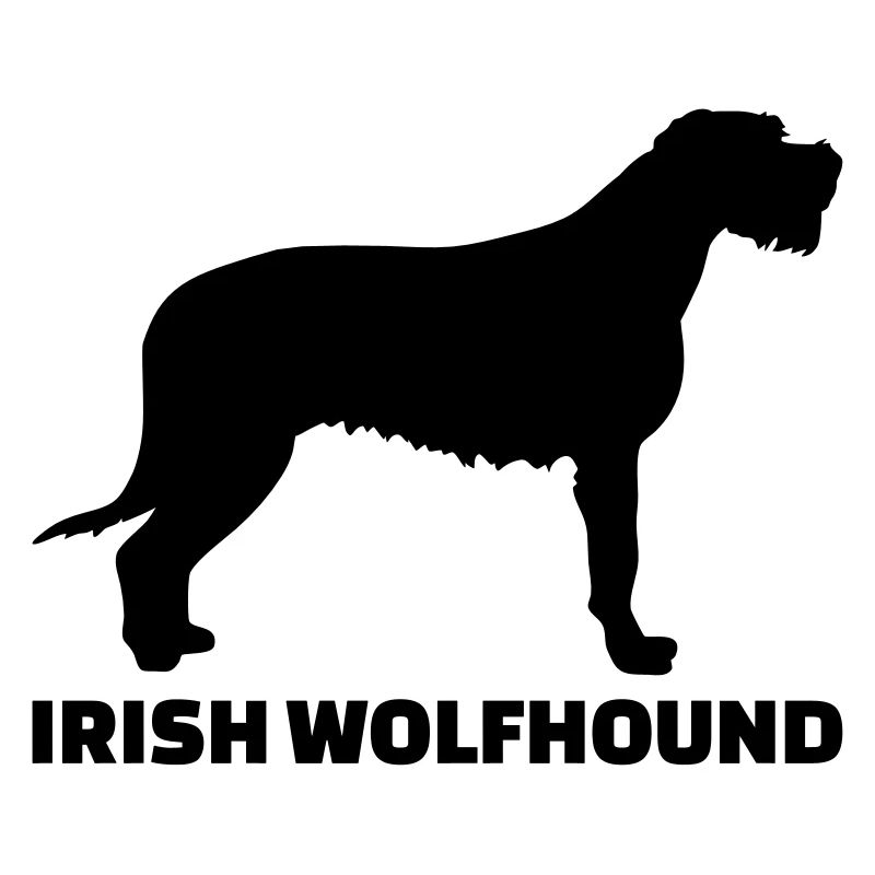 Irischer Wolfshund