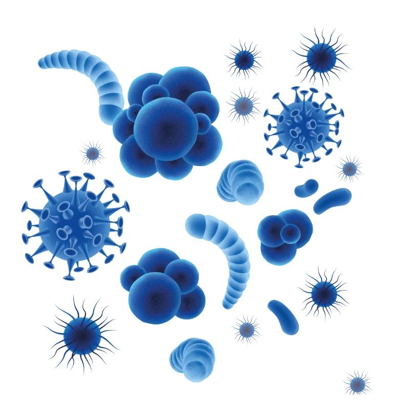 Virus bacteria germ Corona Sars COVID19 gift