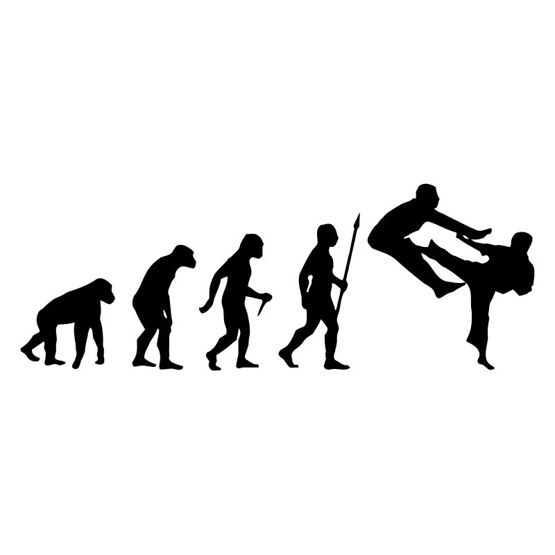 LUSTIGE KARATE-EVOLUTION