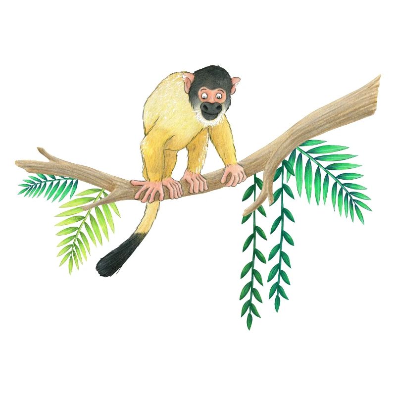little monkey