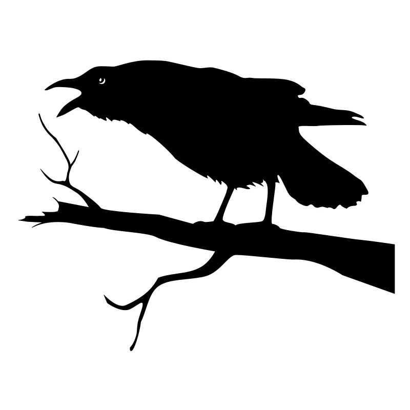 Raven