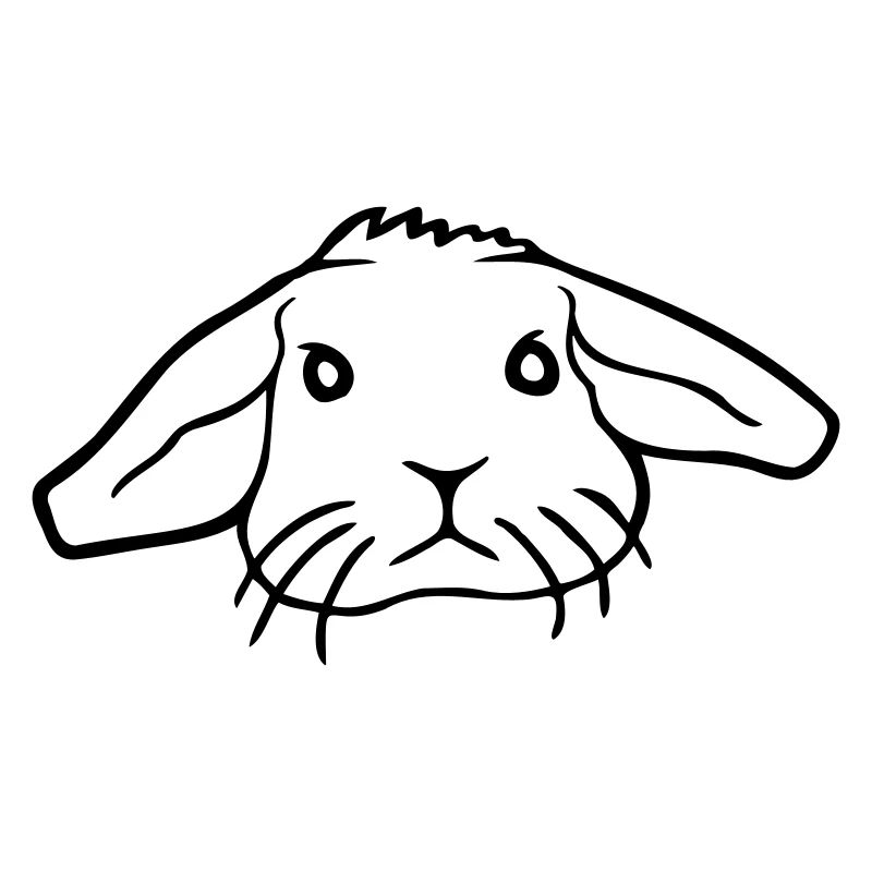 Bunny Rabbit Bunny Rodent Small Animal Cute