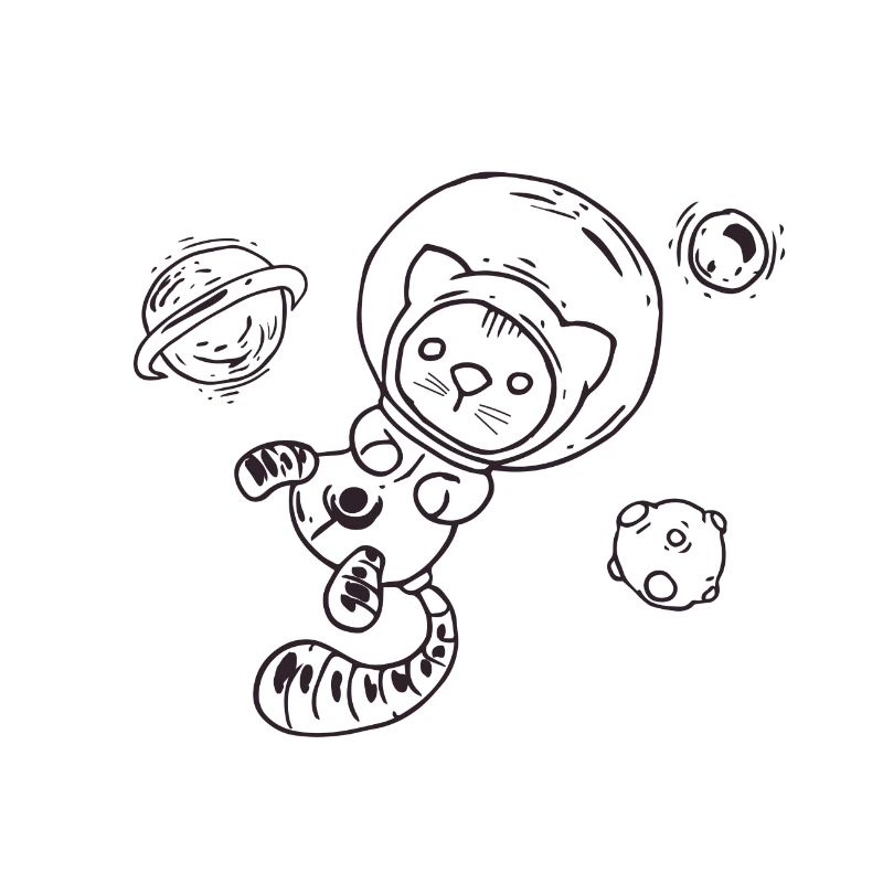 Chat dans l'espace