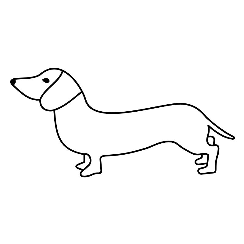 dackel