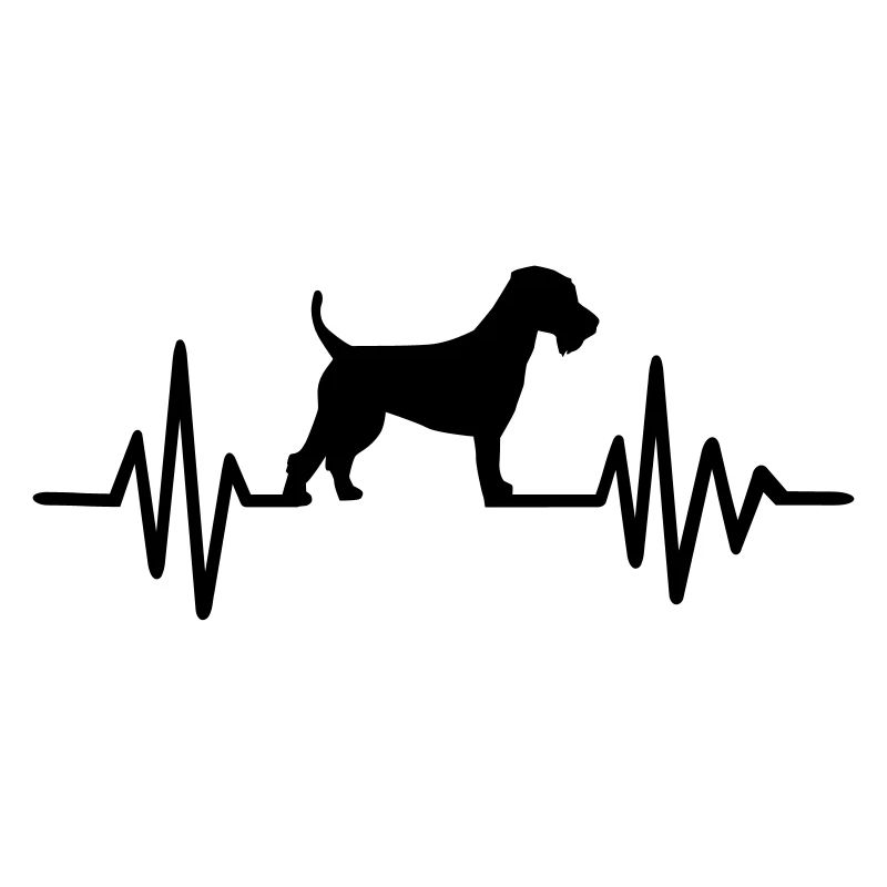 Welsh Terrier