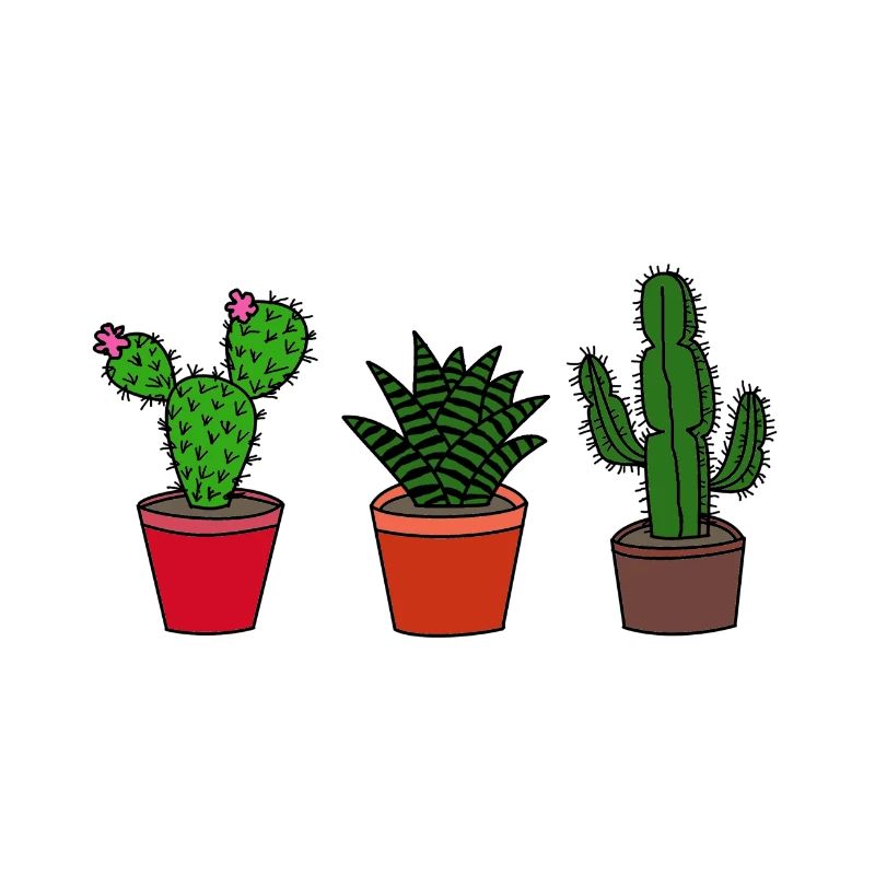 Cacti, cactus