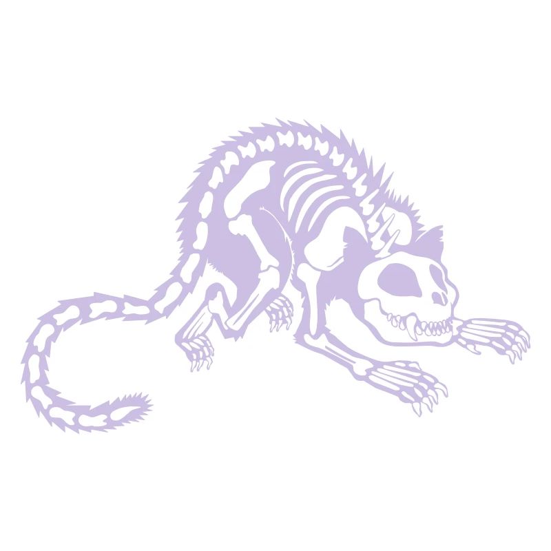 cool cat skeleton